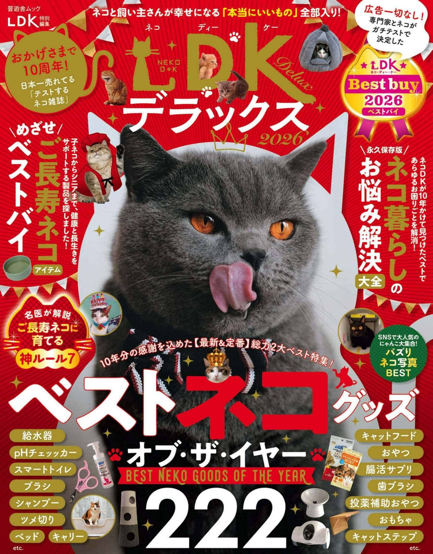 LDK特别编集 – 喵DK Special Best 2026 PDF